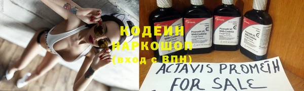прущий лед Аркадак